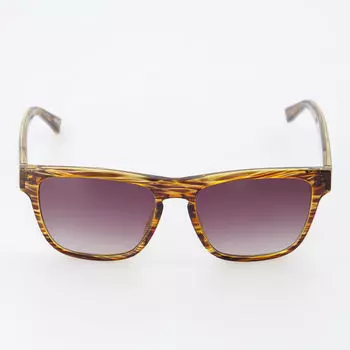 Коричневые квадратные солнцезащитные очки Amalfi Ted Baker