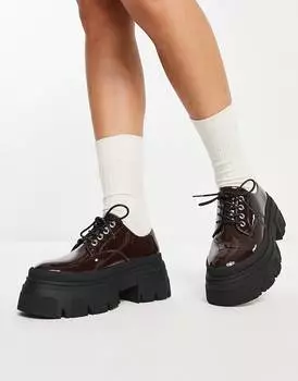 Коричневые лакированные туфли на толстой шнуровке ASOS DESIGN Magda