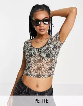 Коричневый топ с цветочным принтом и короткими рукавами Topshop Petite