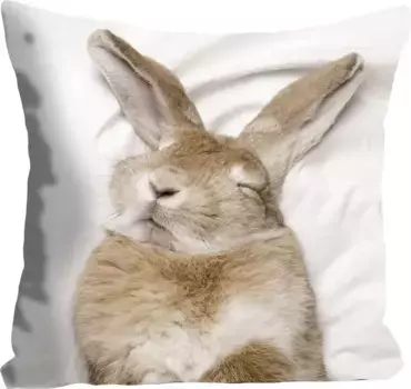 Королевская декоративная подушка "Кетут", со спящим кроликом, чехол без наполнения, 1 шт Queence 40х40 см, коричневый