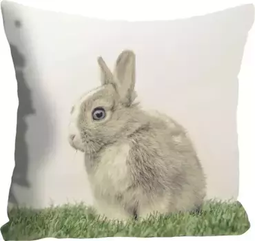 Королевская декоративная подушка "Костас", с кроликом на поляне, чехол без наполнения, 1 шт Queence 40х40 см, зеленый/коричневый