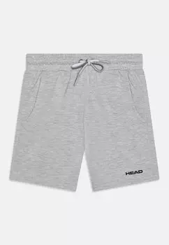 Короткие спортивные брюки CLUB JACOB BERMUDAS UNISEX Head, цвет grey