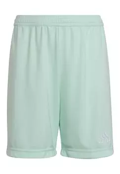 Короткие спортивные брюки ENTRADA adidas Performance, цвет tuerkis