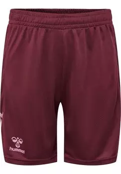 Короткие спортивные брюки HMLACTIVE PL Hummel, цвет burgundy