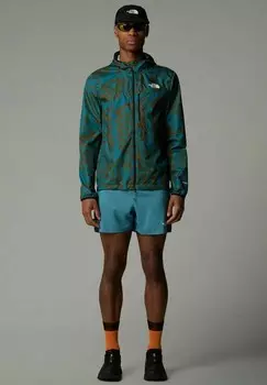 Короткие спортивные штаны The North Face, сине-серый