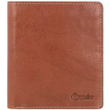 Кошелек Esquire Denver, коричневый