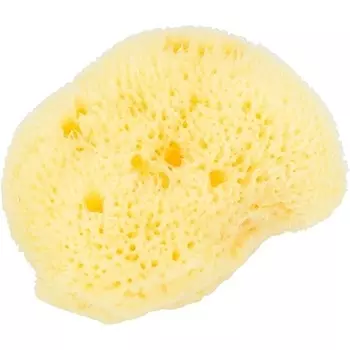 Косметическая морская губка Beautytime