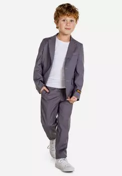 Костюм DAILY OppoSuits, цвет grey