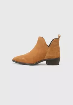 Ковбойские/байкерские ботинки LEATHER Anna Field by Zalando, цвет Cognac