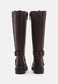 Ковбойские/байкерские сапоги ORINOCO2 TALL Clarks, темно-коричневый