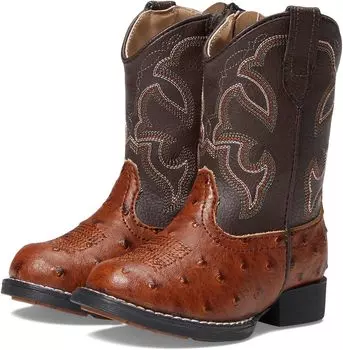 Ковбойские сапоги Cody Roper, цвет Tan