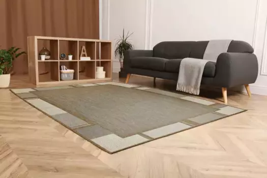 Ковер Andiamo "New Orleans 2", прямоугольный, плоского плетения, с бордюром, подходит для внутреннего и наружного использования, гостиная 60х110 см, коричневый/бежевый