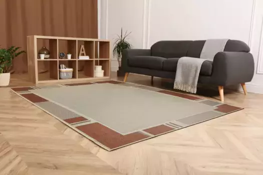 Ковер Andiamo "New Orleans 2", прямоугольный, плоского плетения, с бордюром, подходит для внутреннего и наружного использования, гостиная 120х170 см, цвет beige/terra