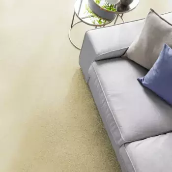 Ковер Andiamo "Велюр Кира", прямоугольный, однотонный, ширина 400 см, износостойкий, простой в уходе, гостиная 400х300 см, цвет creme