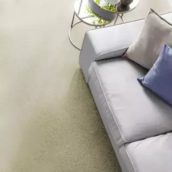 Ковер Andiamo "Велюр Кира", прямоугольный, однотонный, ширина 400 см, износостойкий, простой в уходе, гостиная 400х350 см, бежевый