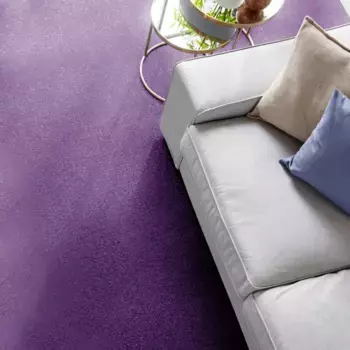 Ковер Andiamo "Велюр Кира", прямоугольный, однотонный, ширина 400 см, износостойкий, простой в уходе, гостиная 400х100 см, цвет lila