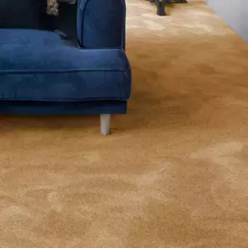 Ковер Andiamo "Велюр Левин", прямоугольный, однотонный, ширина 400см или 500см, мягкий, износостойкий 400х300 см, медный