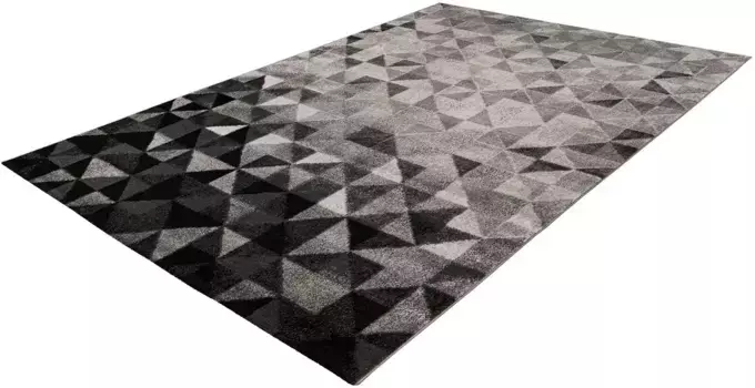 Ковер Arte Espina "Naila 200", прямоугольный 160х230 см, серый