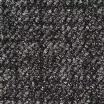 Ковер Bodenmeister "Aragosta Loop ковровое покрытие", прямоугольный, гостиная, спальня, детская, ширина 400/500 см 400х250 см, черный/антрацит