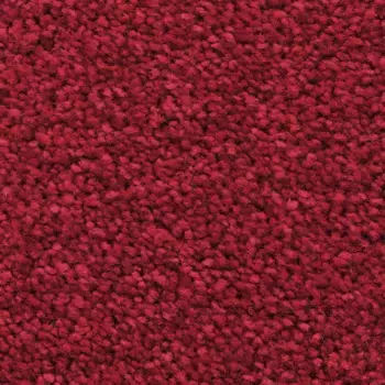 Ковер Bodenmeister "Пегас велюровый ковер", прямоугольный, гостиная, спальня, детская, ширина 400/500 см 350х400 см, красный