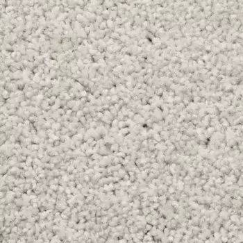 Ковер Bodenmeister "Пегас велюровый ковер", прямоугольный, гостиная, спальня, детская, ширина 400/500 см 300х400 см, белый