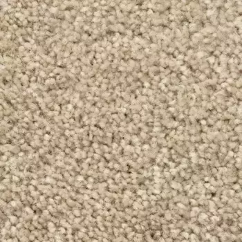 Ковер Bodenmeister "Пегас велюровый ковер", прямоугольный, гостиная, спальня, детская, ширина 400/500 см 200х400 см, светло-бежевый