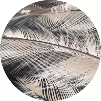 Ковер Conceptum Hypnose