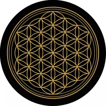 Ковер Conceptum Hypnose