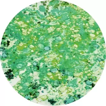 Ковер Conceptum Hypnose