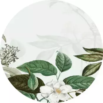 Ковер Conceptum Hypnose