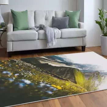 Ковер Conceptum Hypnose, цвет Bunt