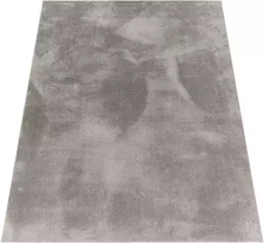 Ковер для дома "Andeer", прямоугольный, с коротким ворсом, однотонный, мягкий и приятный, можно стирать, для гостиной Home affaire 120х170 см, серый