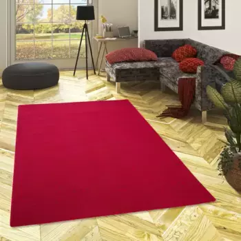 Ковер для дома «Fortis», прямоугольный, высота 5 мм, однотонный, петлевой, связанный, также как дорожка, износостойкий My Home, красный