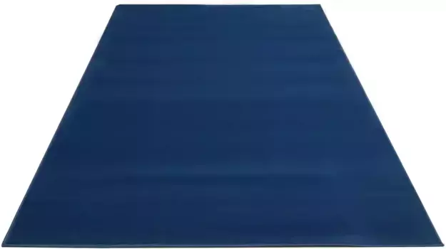 Ковер для дома "Oriental Uni", прямоугольный, с коротким ворсом, мягкий, простой в уходе, однотонный Home affaire 60х90 см, светло-синий