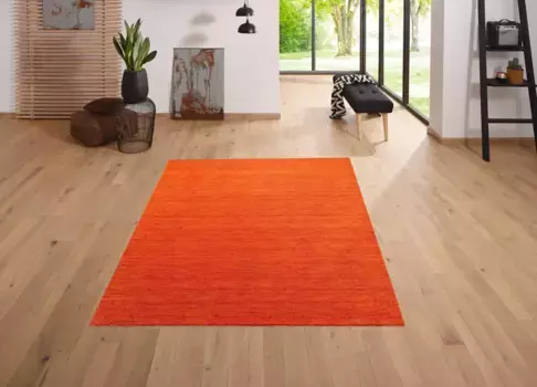 Ковер домашний шерстяной "Tessa", прямоугольный, из чистой шерсти, соткан вручную, мягкий на ощупь Home affaire 70х140 см, красный