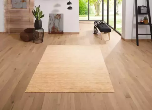 Ковер домашний шерстяной "Tessa", прямоугольный, из чистой шерсти, соткан вручную, мягкий на ощупь Home affaire 140х200 см, бежевый