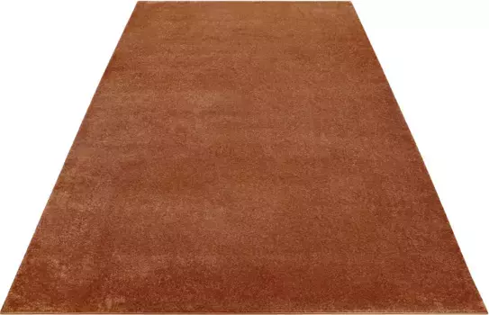 Ковер Esprit "Campus", прямоугольный, очень пушистый, плотный ворс, прочный, гостиная, спальня, однотонный 160х230 см, цвет rostbraun