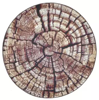 Ковер Gino Falcone "Aurora GF-095", круглый, под дерево, идеально подходит для гостиной и спальни 130 см, коричневый