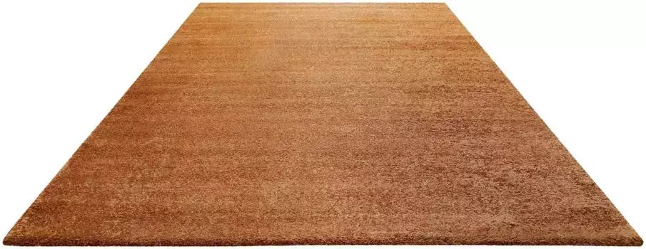 Ковер Homie Гостиный "Lido HL-822937", прямоугольный Homie Living 80х150 см, цвет orange