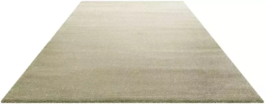 Ковер Homie Гостиный "Lido HL-822937", прямоугольный Homie Living 160х225 см, светло-зеленый