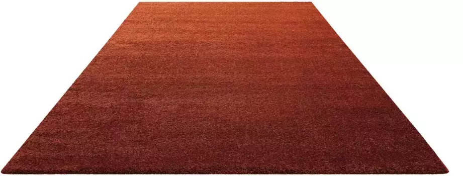 Ковер Homie Гостиный "Lido HL-822937", прямоугольный Homie Living 160х225 см, коричневый