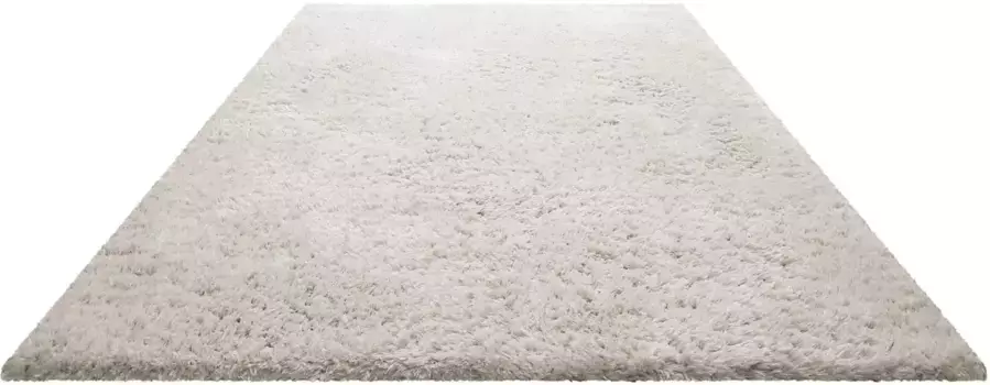 Ковер Homie Living с высоким ворсом "Matteo HL-0961", прямоугольный, изготовлен из экологически чистого 100% переработанного ПЭТ, длинный ворс, ворсистый, для гостиной 160х225 см, цвет beige/beige