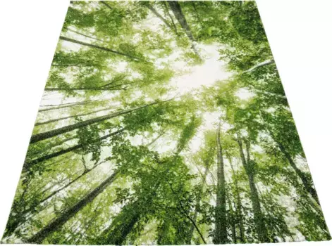 Ковер из мериноса "BELIS TREES", прямоугольный, с коротким ворсом, мотив натурального леса, для всех комнат Merinos 80х150 см, зеленый