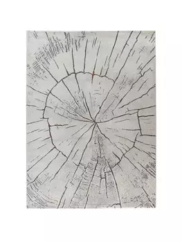 Ковер Kayoom, цвет grau/multi