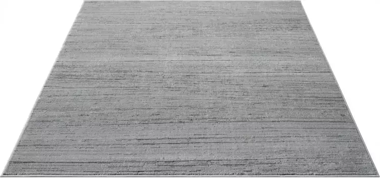 Ковер Leonique ""Gael", прямоугольный, легкий блеск, эффект термоусадочной пряжи, винтажный вид, плотное качество 240х320 см, серый