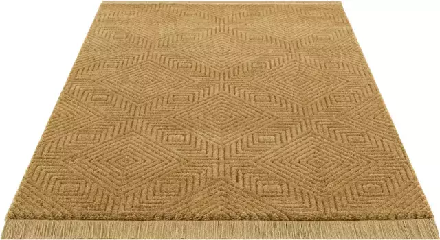 Ковер Leonique "Герцогиня", прямоугольный, графический дизайн, бохо, двусторонний ковер с 3D-эффектом, с бахромой 200х300 см, цвет gelb