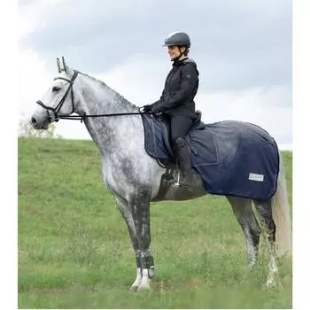 Ковер от мух COMFORT темно-синий WALDHAUSEN, ночь синий