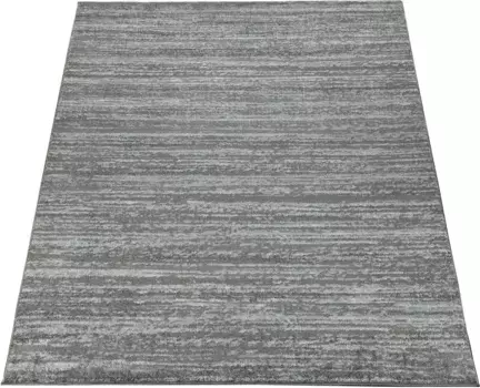 Ковер Paco Home "ECE 900", прямоугольный, с коротким ворсом, в крапинку, идеально подходит для гостиной и спальни 70х140 см, серый