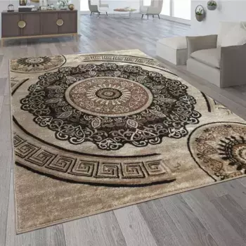 Ковер Paco Home "Sinai 077", прямоугольный, короткий ворс, орнамент в нежных тонах 240х340 см, коричневый