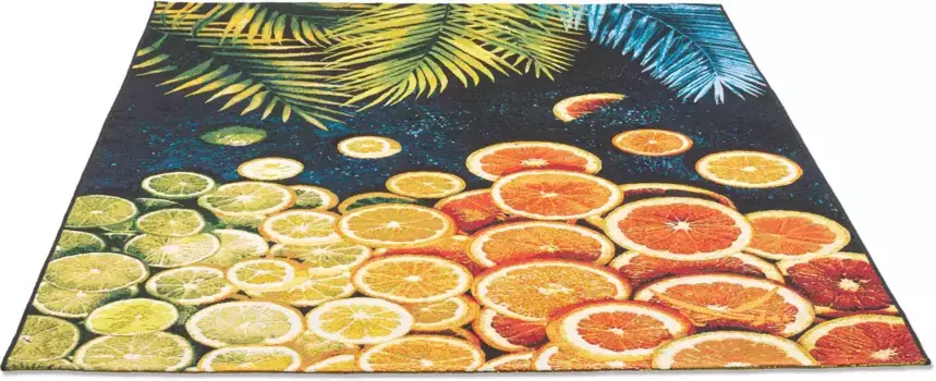 Ковер Sansibar "Rantum Beach 004", прямоугольный, плоского переплетения, современный летний дизайн, подходит для использования внутри и снаружи помещений 100х200 см, цвет multi